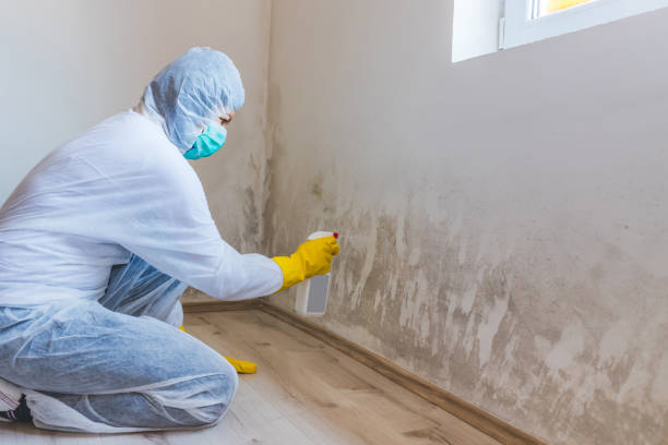 Hvac And Air Duct Mold Remediation inspection of HVAC system in Williamsport