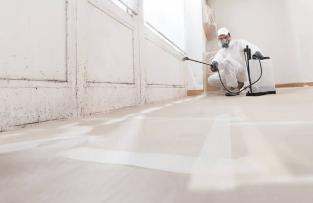 Black mold remediation team in Williamsport